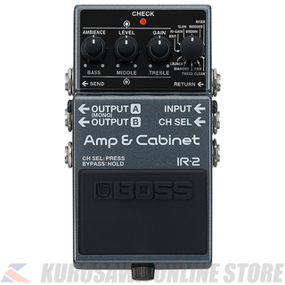 Roland IR-2 -Amp & Cabinet- (ご予約受付中)