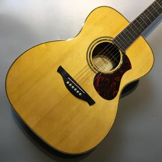James J-500S VNT エレアコ アジャスタブルサドル搭載 簡単弦高調整 フォークタイプ アコースティックギター