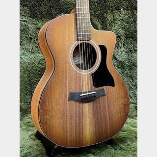 Taylor124ce Special Edition -Walnut Top- #2208143073【48回迄金利0%対象】【送料当社負担】