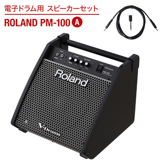 Roland 電子ドラム用 スピーカーセット PM-100 A 【繋いですぐに音が出せる】