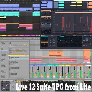AbletonLive 12 Suite UPG from Lite (オンライン納品)(代引不可)