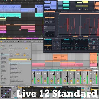 Ableton Live 12 Standard (オンライン納品)(代引不可)