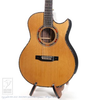 Fonzo Guitar V34C SJ FC