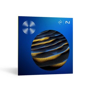 iZotope【iZotope RX 11イントロセール！(～6/13)】RX 11 Standard  (オンライン納品)(代引不可)