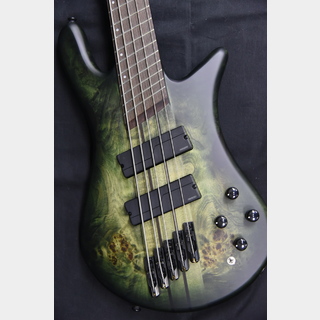 Spector  NS DIMENSION MS 5 Haunted Moss Matte ウエイト4キロ