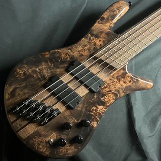 Spector NS DIMENSION 5