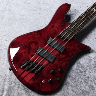 Spector NS Dimension MS 4 - INFRD Gloss- 【#W220536】【3.96Kg】