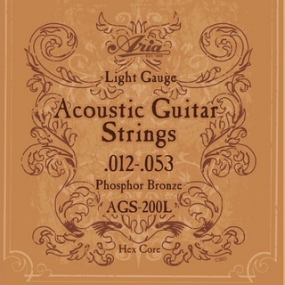 ARIA AGS-200L アコースティックギター弦×12セット