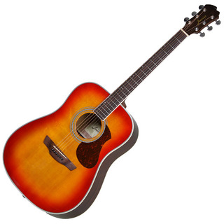 JamesJ-300D CAO (カリビアンオレンジ) アコースティックギター