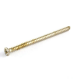 ALLPARTS GS-3312-001 Pack Of 4 Nickel Soap Bar Pickup Mounting Screws ソープバーピックアップ用取り付けビス