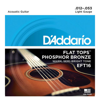 D'Addarioダダリオ EFT16 Flat Top Phosphor Bronze Wound Regular Light アコースティックギター弦