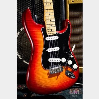 Fender Player Stratocaster Plus Top / 2019