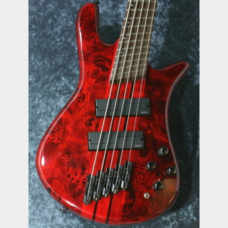 Spector NS DIMENSION 5 Inferno Red【5弦】【アウトレット特価品】