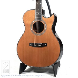 Fonzo Guitar V33C SJ FC