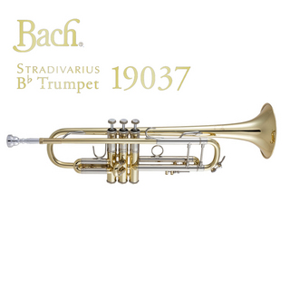 Bach 19037GL B♭トランペット
