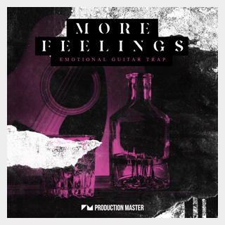 PRODUCTION MASTER MORE FEELINGS - EMOTIONAL GUITAR TRAP