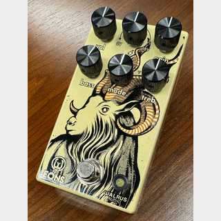 WALRUS AUDIOEons Five-State Fuzz【USED】