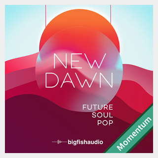 bigfishaudio NEW DAWN - FUTURE SOUL POP MMT