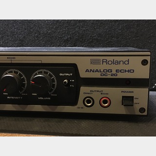 Roland DC-20