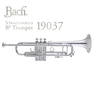 Bach 19037SP B♭トランペット