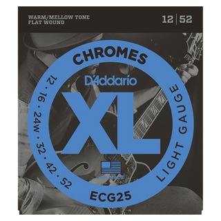 D'Addarioダダリオ ECG25 フラットワウンド エレキギター弦×5セット