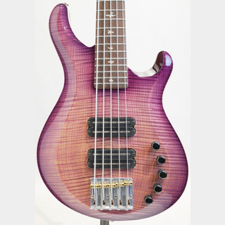 Paul Reed Smith(PRS) Grainger 5strings bass 10top 2013