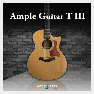 AMPLE SOUND AMPLE GUITAR T III