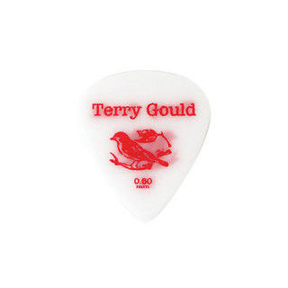 PICKBOY GP-TG-TS/06 Terry Gould Sand Grip 0.60mm ギターピック×10枚