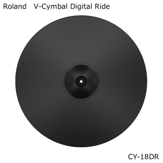 Roland CY-18DR V-Cymbal Digital Ride/ローランド Vシンバル・デジタル・ライド 18インチ エレドラ