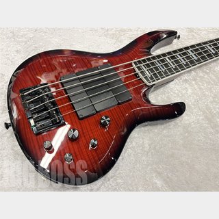 ESP Order Made Bass BTL Type 5st【Dark Red Burst】 