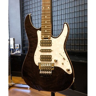 SCHECTER 【USED】SD-2-24-AL (See-Thru Black/Rosewood)【SN.S2209220】