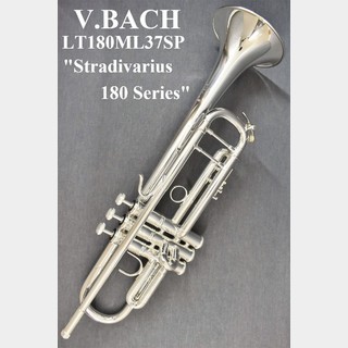 V.Bach LT180ML37SP【新品】 【ライトウェイトモデル】【イエローブラスベル】【Stradivarius180】