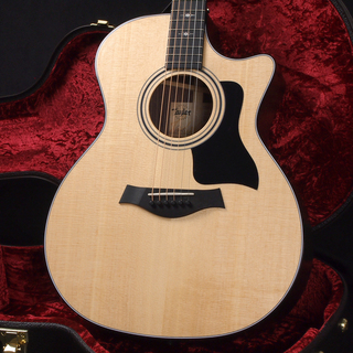 Taylor 314ce Special Edition ~Indian Rosewood~【限定品!】