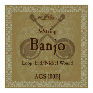 ARIAAGS-100BJ Banjo バンジョー弦