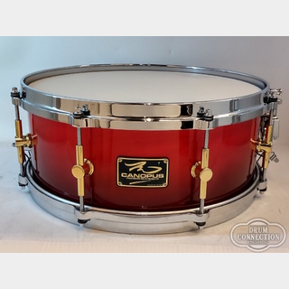 canopus The Maple Snare Drum 14"×5.5" -Crimson Fade LQ- [M-1455]