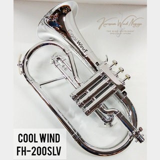 Cool Wind FH-200SLV
