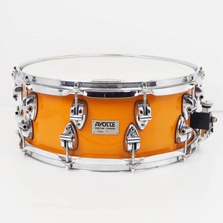 AYOTTE【USED】AYOTTE Custom Maple Snare Drum [14×6]