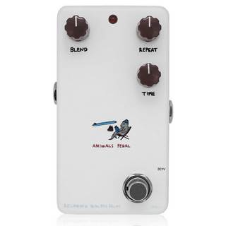 Animals Pedal RELAXING WALRUS DELAY