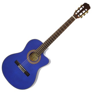 ARIAA-48CE SBL Basic エレクトリッククラシックギター