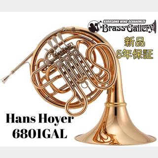 Hans Hoyer 6801GAL【お取り寄せ】【フルダブル】【ハンスホイヤー】【クルスペタイプ】【ウインドお茶の水】