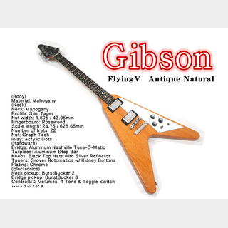 GibsonFlyingV Antique Natural