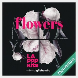 bigfishaudio FLOWERS - LA POP KITS MMT