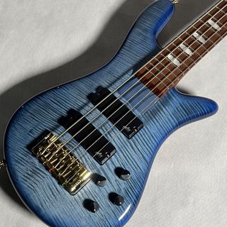 Spector EURO BOLT5 Figured Maple Top【現物画像】Exclusive Limited