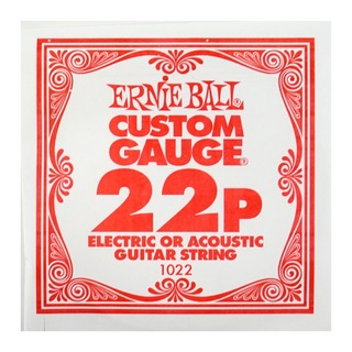 ERNIE BALLアーニーボール 1022 PLAIN STEEL 022 ギター用バラ弦