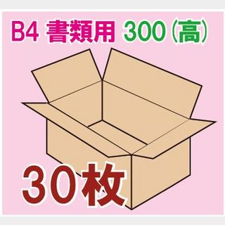 In The Box 書類用ダンボール箱 「B4書類サイズ(390×265×300mm) 30枚」