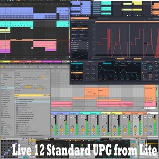 AbletonLive 12 Standard UPG from Lite (オンライン納品)(代引不可)
