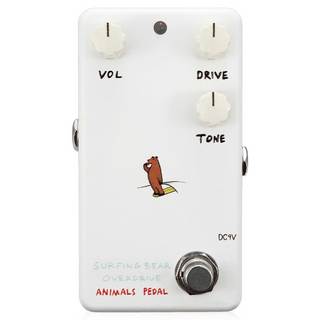 Animals Pedal Surfing Bear Overdrive
