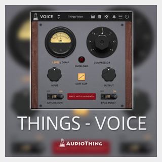 AUDIOTHINGTHINGS - VOICE