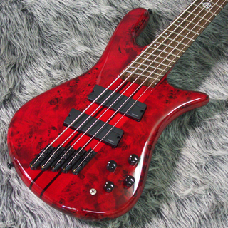 Spector NS Dimension 5 Inferno Red Gloss S/N.232268【☆★2024・GW先取セール開催中★☆～4.29(月)】