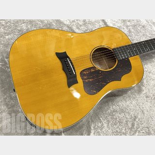 Morris G-021E【Vintage Yellow】